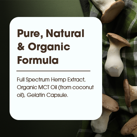 Divine-7 Mushroom Extract Gummies