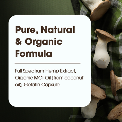 Divine-7 Mushroom Extract Gummies